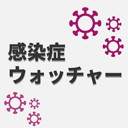 毎週火曜日に更新