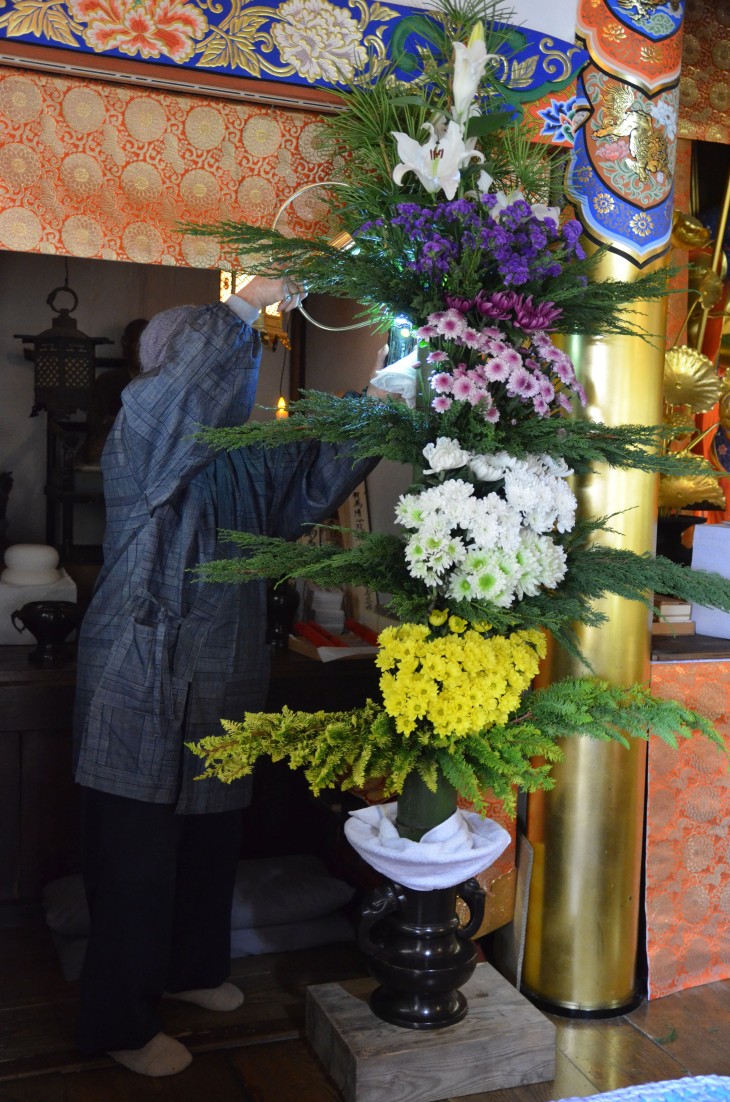 五段花。背が高いため水やりも大変